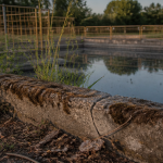 bassin de rétention inconvénients bordure fissurée et déchets