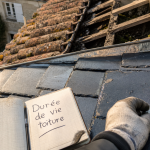 Durée de vie toiture : inspection ardoise et tuiles avec gouttière zinc sur toit